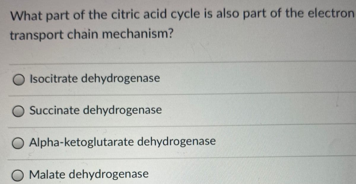 What part of the citric acid cycle is also part of the electron
transport chain mechanism?
O Isocitrate dehydrogenase
O Succinate dehydrogenase
O Alpha-ketoglutarate dehydrogenase
O Malate dehydrogenase
