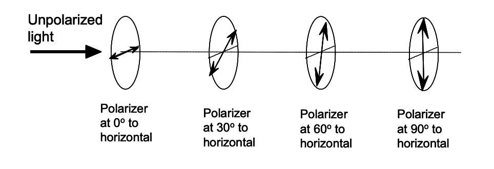 Unpolarized
light
Polarizer
Polarizer
at 30° to
horizontal
Polarizer
Polarizer
at 0° to
horizontal
at 60° to
at 90° to
horizontal
horizontal
