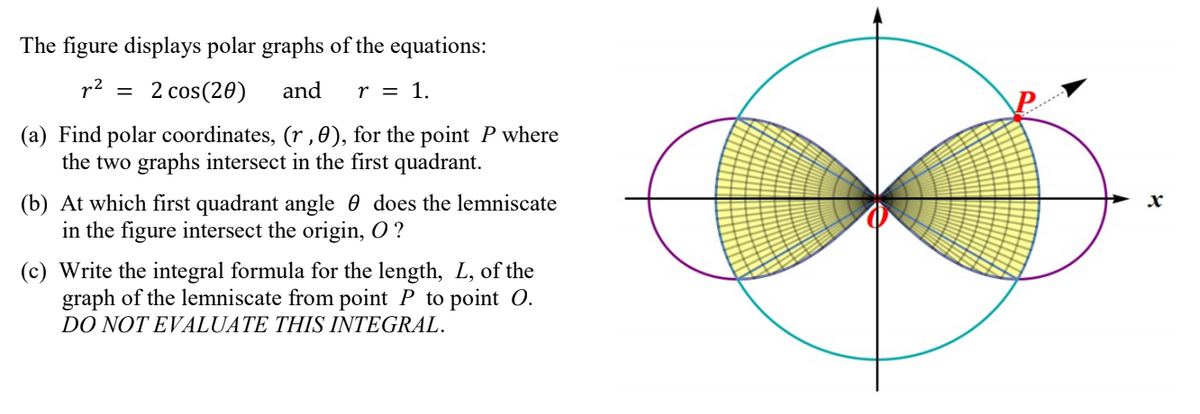 The figure displays polar graphs of the equations:
p2
2 cos(20)
and
r = 1.
(a) Find polar coordinates, (r,0), for the point P where
the two graphs intersect in the first quadrant.
------
(b) At which first quadrant angle 0 does the lemniscate
in the figure intersect the origin, 0?
(c) Write the integral formula for the length, L, of the
graph of the lemniscate from point P to point O.
DO NOT EVALUATE THIS INTEGRAL.
