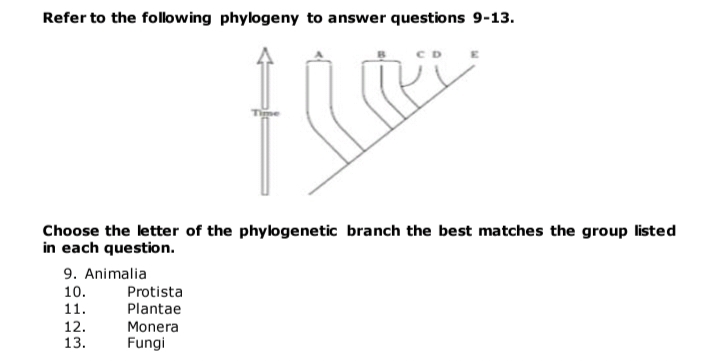 Refer to the following phylogeny to answer questions 9-13.
Choose the letter of the phylogenetic branch the best matches the group listed
in each question.
9. Animalia
10.
Protista
11.
Plantae
12.
13.
Monera
Fungi
