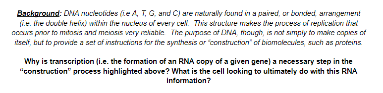 Background: DNA nucleotides (i.e A, T, G, and C) are naturally found in a paired, or bonded, arrangement
(i.e. the double helix) within the nucleus of every cell. This structure makes the process of replication that
occurs prior to mitosis and meiosis very reliable. The purpose of DNA, though, is not simply to make copies of
itself, but to provide a set of instructions for the synthesis or "construction" of biomolecules, such as proteins.
Why is transcription (i.e. the formation of an RNA copy of a given gene) a necessary step in the
"construction" process highlighted above? What is the cell looking to ultimately do with this RNA
information?
