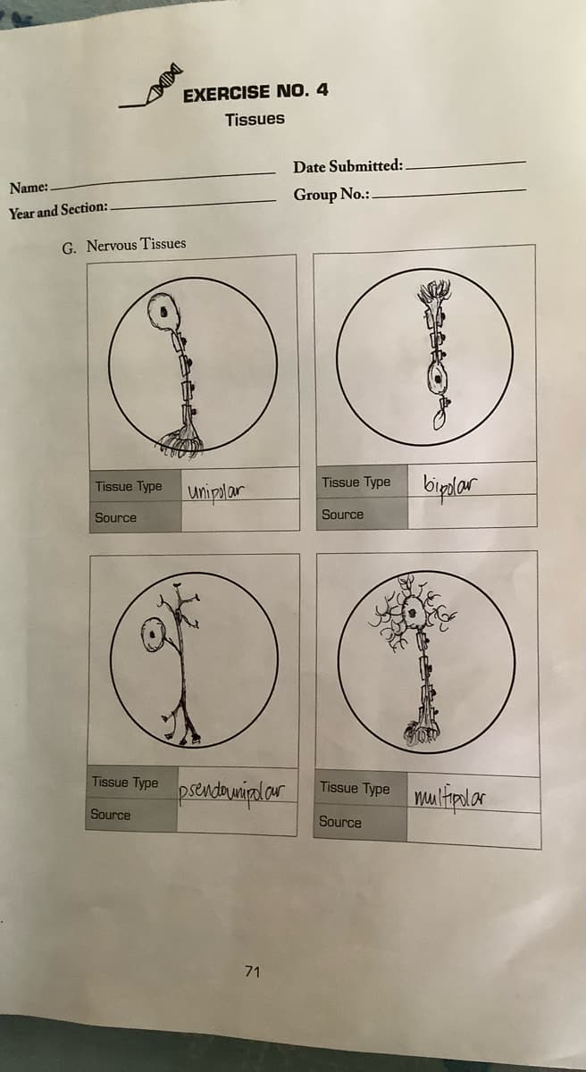 Name:
Year and Section:
EXERCISE NO. 4
Tissues
G. Nervous Tissues
Tissue Type unipolar
Source
0.
Tissue Type prendownipolar
Source
71
Date Submitted:
Group No.:.
Tissue Type
Source
Tissue Type
Source
bipolar
multipolar