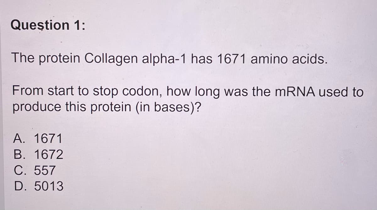 Queștion 1:
The protein Collagen alpha-1 has 1671 amino acids.
From start to stop codon, how long was the mRNA used to
produce this protein (in bases)?
A. 1671
B. 1672
C. 557
D. 5013
