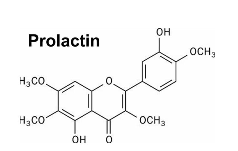 Prolactin
H3CO.
H3CO
ОН
0
ОН
ОСН3
OCH3