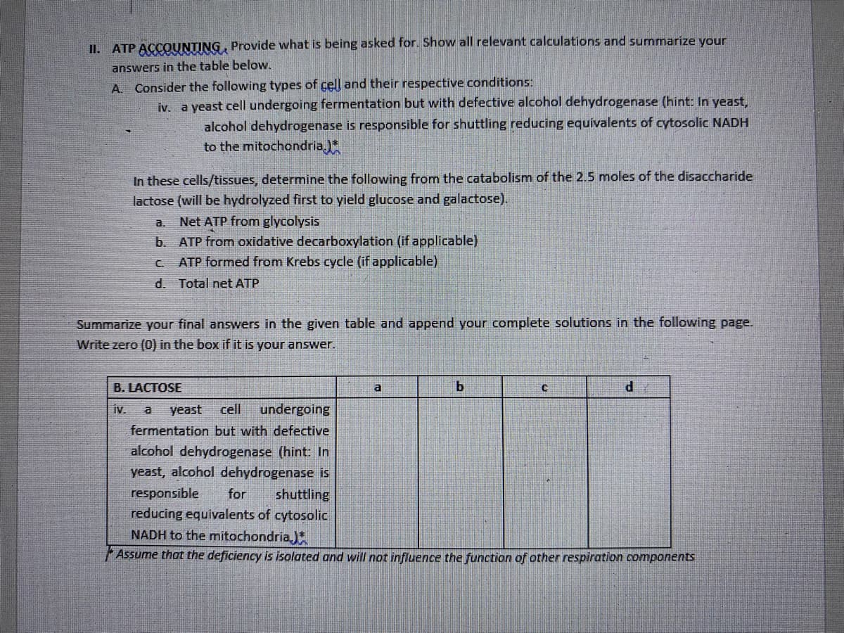 II. ATP ACCOUNTING, Provide what is being asked for. Show all relevant calculations and summarize your
answers in the table below.
A
Consider the following types of cell and their respective conditions:
iv. a yeast cell undergoing fermentation but with defective alcohol dehydrogenase (hint: In yeast,
alcohol dehydrogenase is responsible for shuttling reducing equivalents of cytosolic NADH
to the mitochondria
In these cells/tissues, determine the following from the catabolism of the 2.5 moles of the disaccharide
lactose (will be hydrolyzed first to yield glucose and galactose).
a.
Net ATP from glycolysis
b. ATP from oxidative decarboxylation (if applicable)
C.
ATP formed from Krebs cycle (if applicable)
d.
Total net ATP
Summarize your final answers in the given table and append your complete solutions in the following page.
Write zero (0) in the box if it is your answer.
B. LACTOSE
a
b
C
d
iv. a yeast cell undergoing
fermentation but with defective
alcohol dehydrogenase (hint: In
yeast, alcohol dehydrogenase is
responsible for shuttling
reducing equivalents of cytosolic
NADH to the mitochondria)
Assume that the deficiency is isolated and will not influence the function of other respiration components