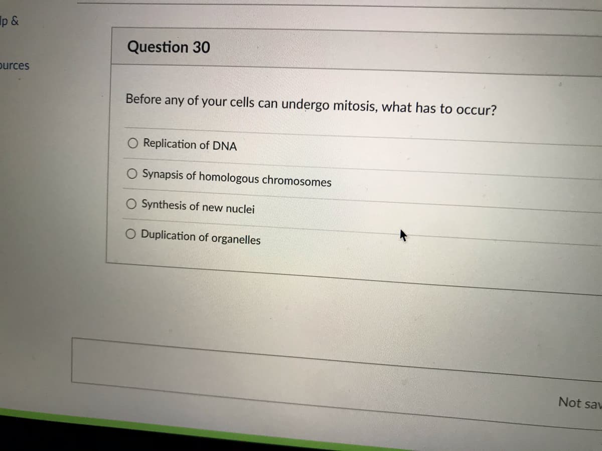 Before any of your cells can undergo mitosis, what has to occur?
O Replication of DNA
O Synapsis of homologous chromosomes
O Synthesis of new nuclei
O Duplication of organelles
