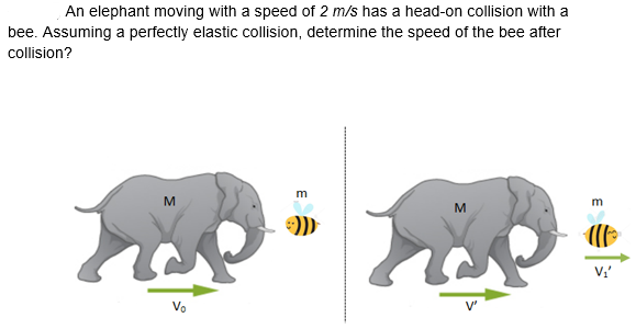 An elephant moving with a speed of 2 m/s has a head-on collision with a
bee. Assuming a perfectly elastic collision, determine the speed of the bee after
collision?
м
m
м
Vo
V'
