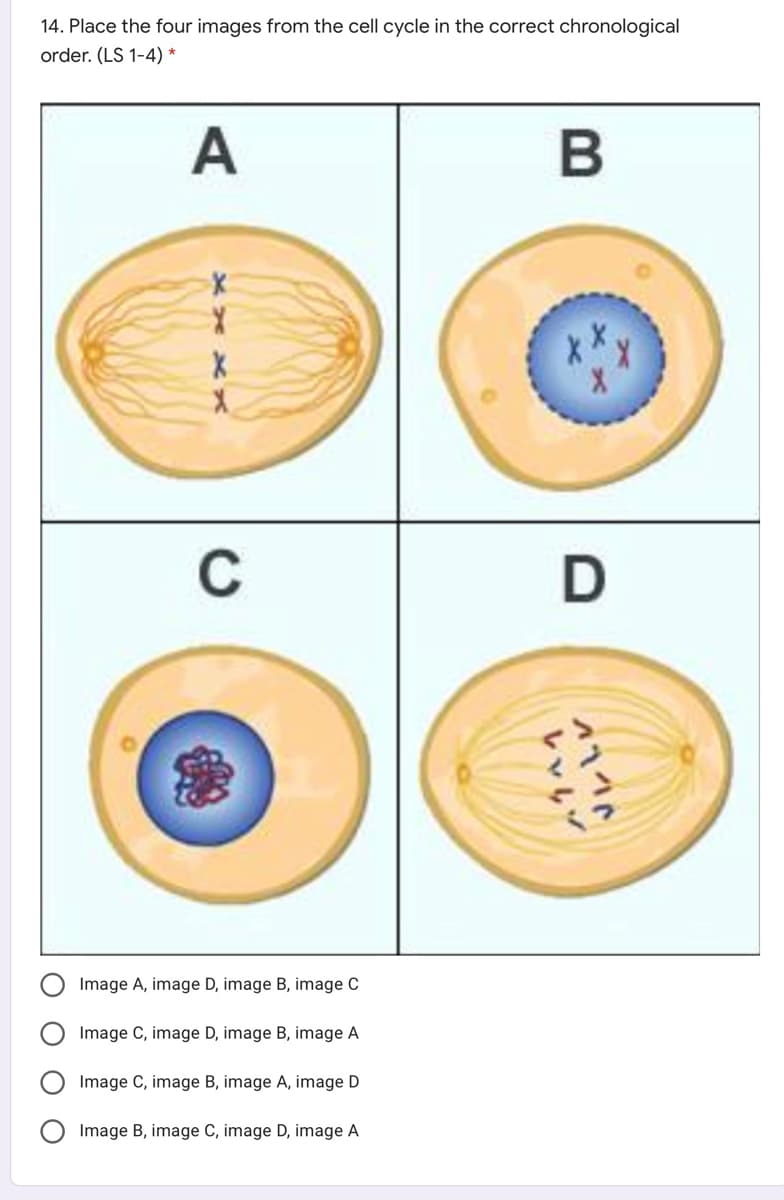14. Place the four images from the cell cycle in the correct chronological
order. (LS 1-4) *
A
B
C
Image A, image D, image B, image C
Image C, image D, image B, image A
Image C, image B, image A, image D
Image B, image C, image D, image A
レいい
