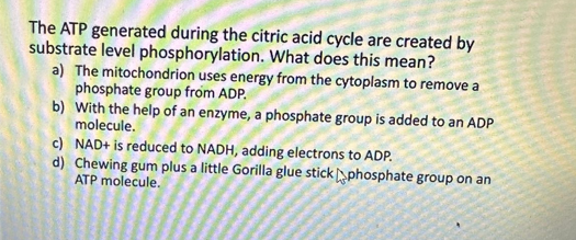 The ATP generated during the citric acid cycle are created by
substrate level phosphorylation. What does this mean?
a) The mitochondrion uses energy from the cytoplasm to remove a
phosphate group from ADP.
b) With the help of an enzyme, a phosphate group is added to an ADP
molecule.
c)
NAD+ is reduced to NADH, adding electrons to ADP.
d) Chewing gum plus a little Gorilla glue stick phosphate group on an
ATP molecule.