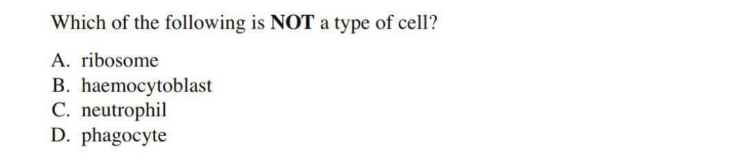 Which of the following is NOT a type of cell?
A. ribosome
B. haemocytoblast
C. neutrophil
D. phagocyte

