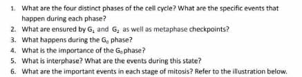 1. What are the four distinct phases of the cell cycle? What are the specific events that
happen during each phase?
2. What are ensured by G, and G, as well as metaphase checkpoints?
3. What happens during the G, phase?
4. What is the importance of the G, phase?
5. What is interphase? What are the events during this state?
6. What are the important events in each stage of mitosis? Refer to the illustration below.
