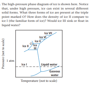 The high-pressure phase diagram of ice is shown here. Notice
that, under high pressure, ice can exist in several different
solid forms. What three forms of ice are present at the triple
point marked O? How does the density of ice II compare to
ice I (the familiar form of ice)? Would ice III sink or float in
liquid water?
Ice VII
Ice VI
Ice V
Ice
II
Ice I
1 atm
Ice l
Liquid water
Gaseous
water
Temperature (not to scale)
Pressure (not to scale)
