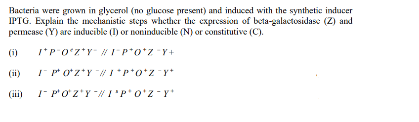 Bacteria were grown in glycerol (no glucose present) and induced with the synthetic inducer
IPTG. Explain the mechanistic steps whether the expression of beta-galactosidase (Z) and
permease (Y) are inducible (I) or noninducible (N) or constitutive (C).
(i)
IP-OºZ*Y // I¯P*O*Z¯Y+
(ii)
I POZY // I* P*O*Z¯Y+
I POZY // ISPOZ - Y*