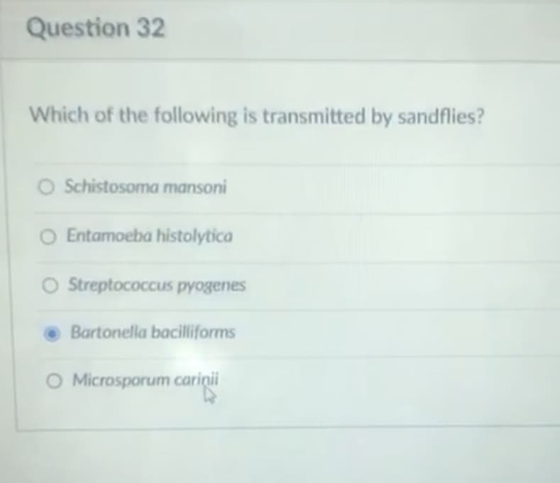 Question 32
Which of the following is transmitted by sandflies?
O Schistosoma mansoni
O Entamoeba histolytica
O Streptococcus pyogenes
Bartonella baciliforms
O Microsporum carinii
