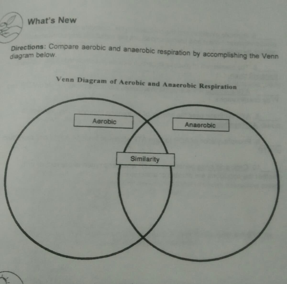 What's New
Directions: Compare aerobic and anaerobic respiration by accomplishing the Venn
diagram below.
Venn Diagram of Aerobic and Anaerobic Respiration
Aerobic
Anaerobic
Similarity

