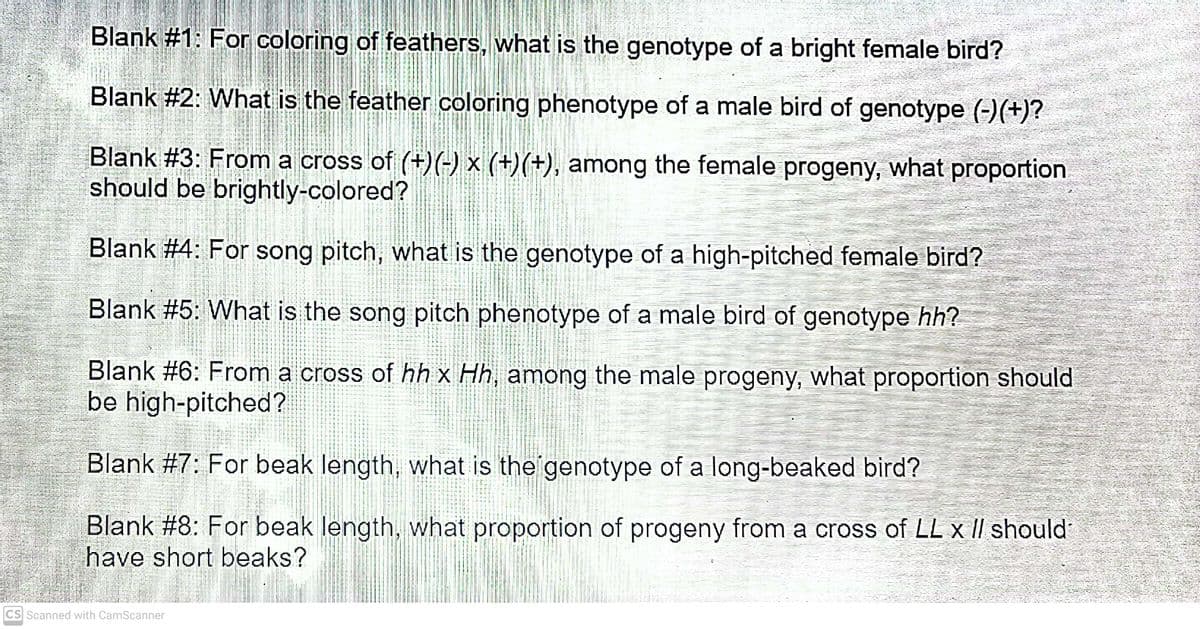Blank #1: For coloring of feathers, what is the genotype of a bright female bird?
Blank #2: What is the feather coloring phenotype of a male bird of genotype (-)(+)?
Blank #3: From a cross of (+)) × (+)(+), among the female progeny, what proportion
should be brightly-colored?
Blank #4: For song pitch, what is the genotype of a high-pitched female bird?
Blank #5: What is the song pitch phenotype of a male bird of genotype hh?
Blank #6: From a cross of hh x Hh, among the male progeny, what proportion should
be high-pitched?
Blank #7: For beak length, what is the genotype of a long-beaked bird?
Blank #8: For beak length, what proportion of progeny from a cross of LL x II should
have short beaks?
CS Scanned with CamScanner

