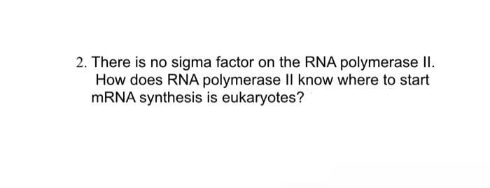 2. There is no sigma factor on the RNA polymerase II.
How does RNA polymerase l know where to start
MRNA synthesis is eukaryotes?
