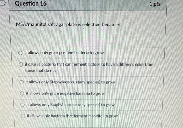 Question 16
1 pts
MSA/mannitol salt agar plate is selective because:
O it allows only gram positive bacteria to grow
O it causes bacteria that can ferment lactose to have a different color from
those that do not
O it allows only Staphylococcus (any species) to grow
O it allows only gram negative bacteria to grow
O it allows only Staphylococcus (any species) to grow
O it allows only bacteria that ferment mannitol to grow
