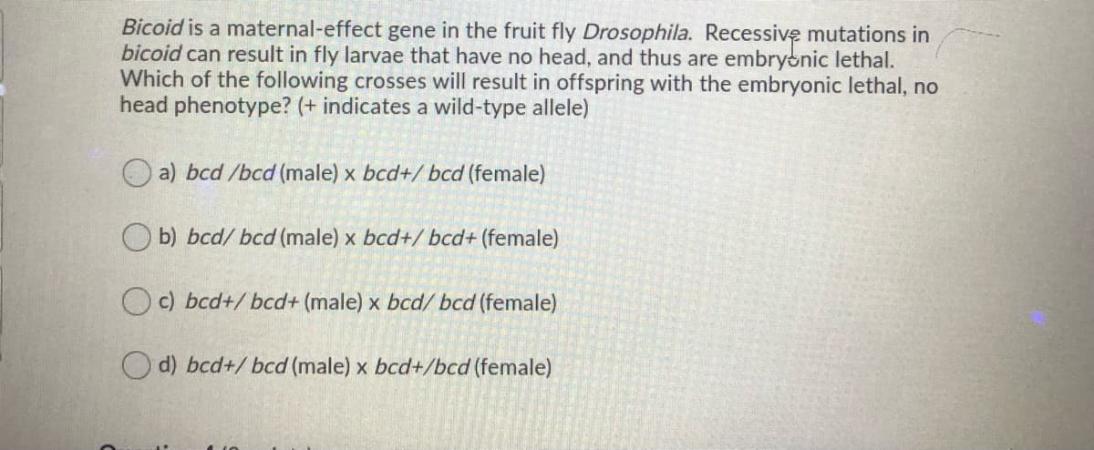 Bicoid is a maternal-effect gene in the fruit fly Drosophila. Recessive mutations in
bicoid can result in fly larvae that have no head, and thus are embryonic lethal.
Which of the following crosses will result in offspring with the embryonic lethal, no
head phenotype? (+ indicates a wild-type allele)
O a) bcd /bcd (male) x bcd+/ bcd (female)
O b) bcd/ bcd (male) x bcd+/ bcd+ (female)
O c) bcd+/ bcd+ (male) x bcd/ bcd (female)
O d) bcd+/ bcd (male) x bcd+/bcd (female)

