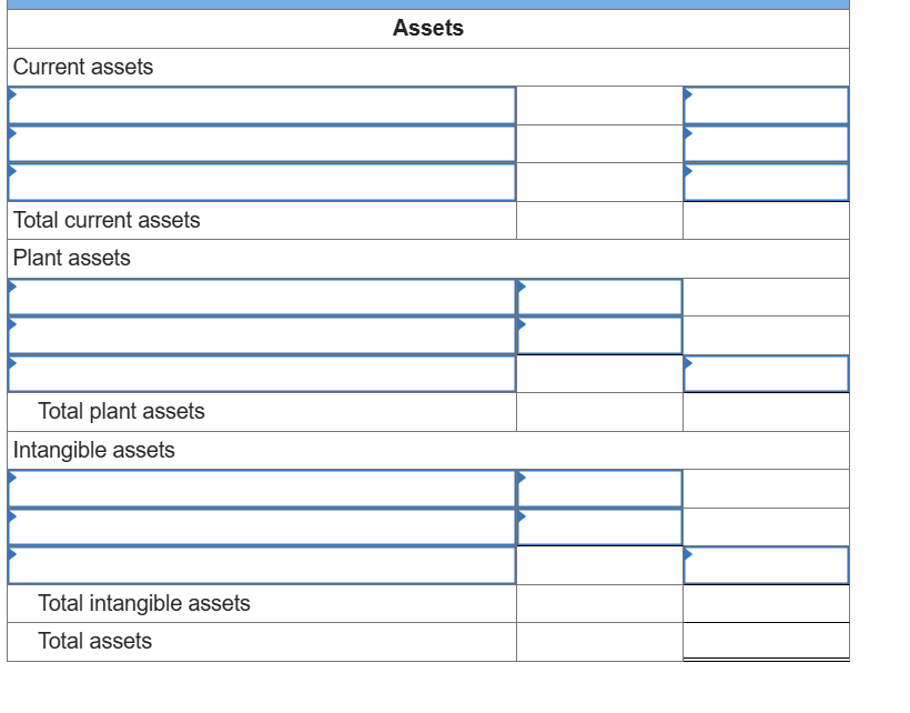 Current assets
Total current assets
Plant assets
Total plant assets
Intangible assets
Total intangible assets
Total assets
Assets