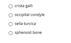 crista galli
occipital condyle
O sella turcica
O sphenoid bone
O O O O
