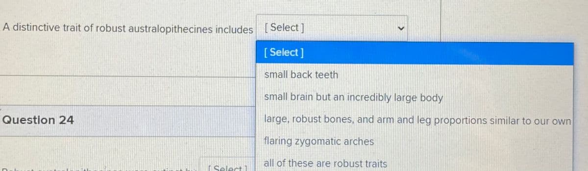 A distinctive trait of robust australopithecines includes Select ]
[ Select
[ Select]
small back teeth
small brain but an incredibly large body
Question 24
large, robust bones, and arm and leg proportions similar to our own
flaring zygomatic arches
all of these are robust traits
Select 1
