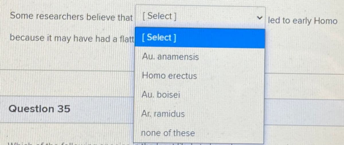 Some researchers believe that [Select ]
led to early Homo
because it may have had a flatt [Select]
Au. anamensis
Homo erectus
Au. boisei
Question 35
Ar. ramidus
none of these
