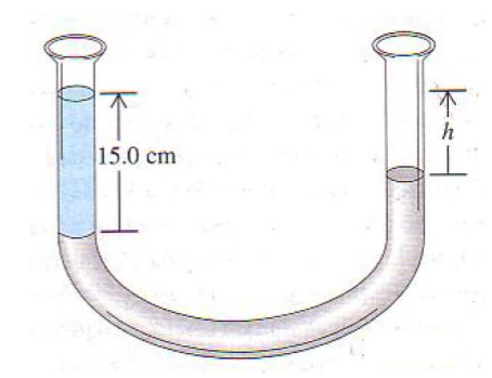 不
h
15.0 cm
