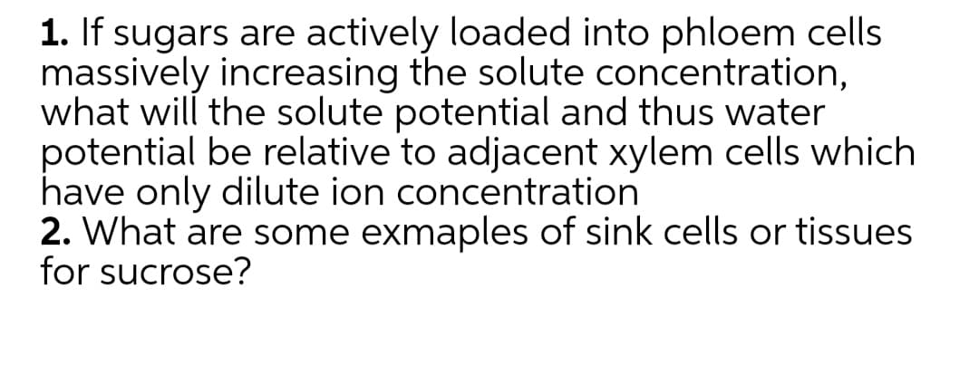 1. If sugars are actively loaded into phloem cells
massively increasing the solute concentration,
what will the solute potential and thus water
potential be relative to adjacent xylem cells which
have only dilute ion concentration
2. What are some exmaples of sink cells or tissues
for sucrose?
