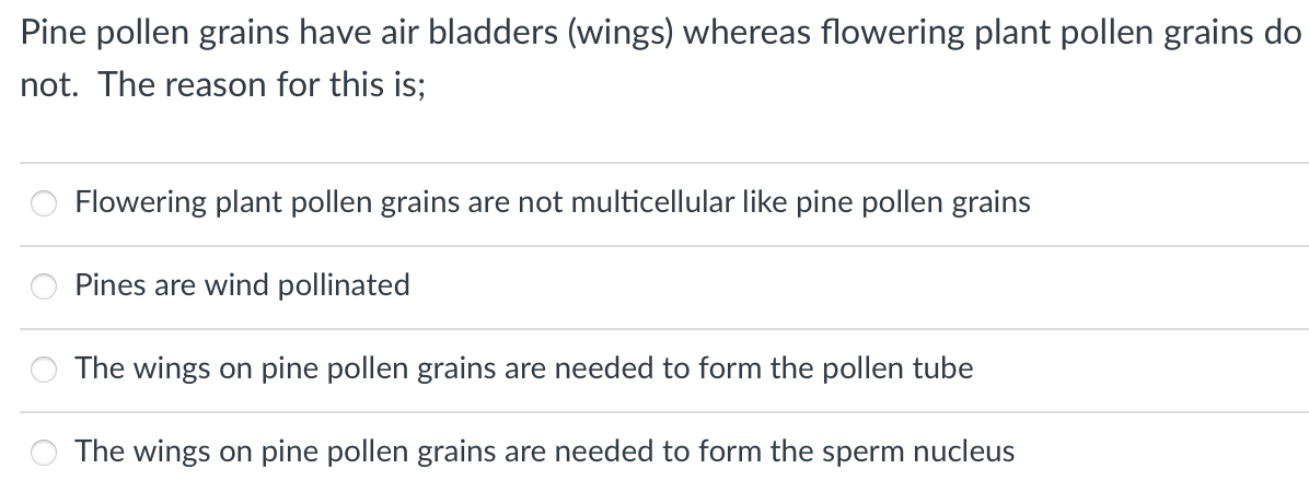 Pine pollen grains have air bladders (wings) whereas flowering plant pollen grains do
not. The reason for this is;
Flowering plant pollen grains are not multicellular like pine pollen grains
Pines are wind pollinated
The wings on pine pollen grains are needed to form the pollen tube
The wings on pine pollen grains are needed to form the sperm nucleus
