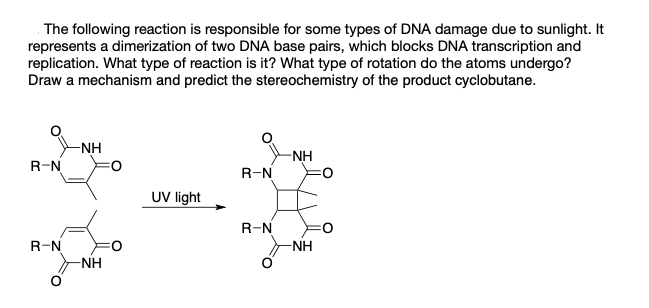 The following reaction is responsible for some types of DNA damage due to sunlight. It
represents a dimerization of two DNA base pairs, which blocks DNA transcription and
replication. What type of reaction is it? What type of rotation do the atoms undergo?
Draw a mechanism and predict the stereochemistry of the product cyclobutane.
-NH
-NH
R-N
R-N
UV ight
R-N
R-N
-NH
-NH
