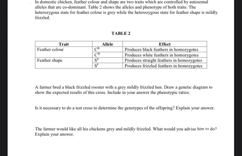 In domestic chicken, feather colour and shape are two traits which are controlled by autosomal
alleles that are co-dominant. Table 2 shows the alleles and phenotype of both traits. The
heterozygous state for feather colour is grey while the heterozygous state for feather shape is mildly
frizzled.
TABLE 2
Trait
Feather colour
Allele
CB
CW
SS
SF
Effect
Produces black feathers in homozygotes
Produces white feathers in homozygotes
Produces straight feathers in homozygotes
Produces frizzled feathers in homozygotes
Feather shape
A farmer bred a black frizzled rooster with a grey mildly frizzled hen. Draw a genetic diagram to
show the expected results of this cross. Include in your answer the phenotypic ratios.
Is it necessary to do a test cross to determine the genotypes of the offspring? Explain your answer.
The farmer would like all his chickens grey and mildly frizzled. What would you advise him to do?
Explain your answer.
