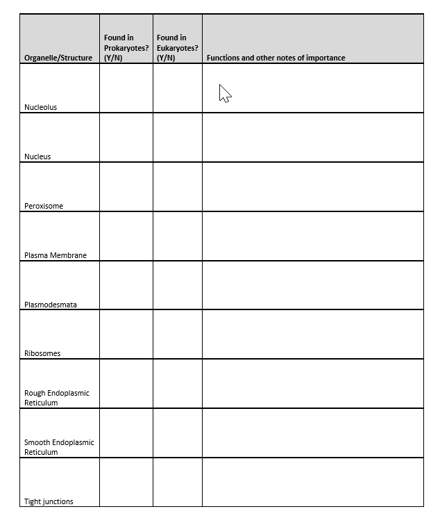 Found in
Found in
Prokaryotes? Eukaryotes?
Organelle/Structure (Y/N)
(Y/N)
Functions and other notes of importance
Nucleolus
Nucleus
Peroxisome
Plasma Membrane
Plasmodesmata
Ribosomes
Rough Endoplasmic
Reticulum
Smooth Endoplasmic
Reticulum
Tight junctions
