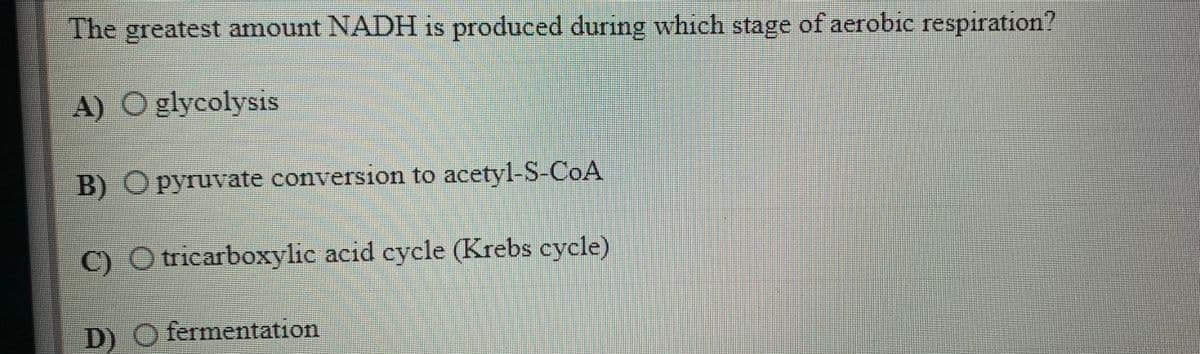 The greatest amount NADH is produced during which stage of aerobic respiration?
A) O glycolysis
B) Opyruvate conversion to acetyl-S-CoA
C) O tricarboxylic acid cycle (Krebs cycle)
D) O fermentation
