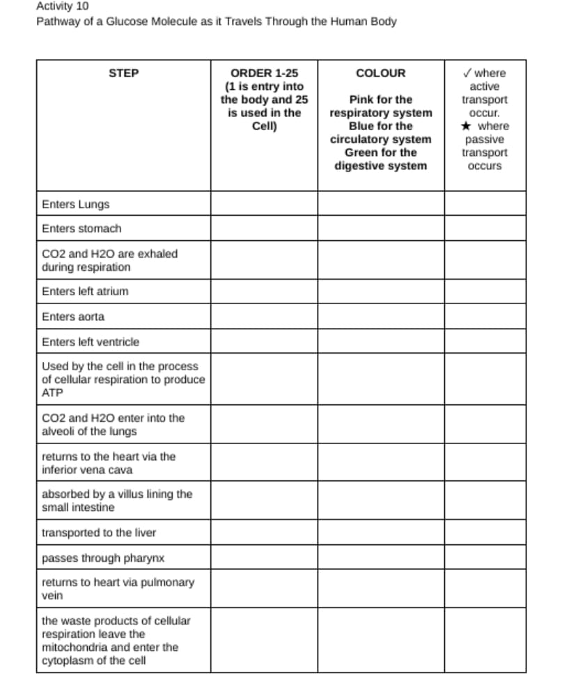 Activity 10
Pathway of a Glucose Molecule as it Travels Through the Human Body
STEP
COLOUR
ORDER 1-25
(1 is entry into
the body and 25
is used in the
Cell)
Pink for the
respiratory system
Blue for the
circulatory system
Green for the
digestive system
Enters Lungs
Enters stomach
CO2 and H2O are exhaled
during respiration
Enters left atrium
Enters aorta
Enters left ventricle
Used by the cell in the process
of cellular respiration to produce
ATP
CO2 and H2O enter into the
alveoli of the lungs
returns to the heart via the
inferior vena cava
absorbed by a villus lining the
small intestine
transported to the liver
passes through pharynx
returns to heart via pulmonary
vein
the waste products of cellular
respiration leave the
mitochondria and enter the
cytoplasm of the cell
✓ where
active
transport
occur.
passive
transport
occurs
where