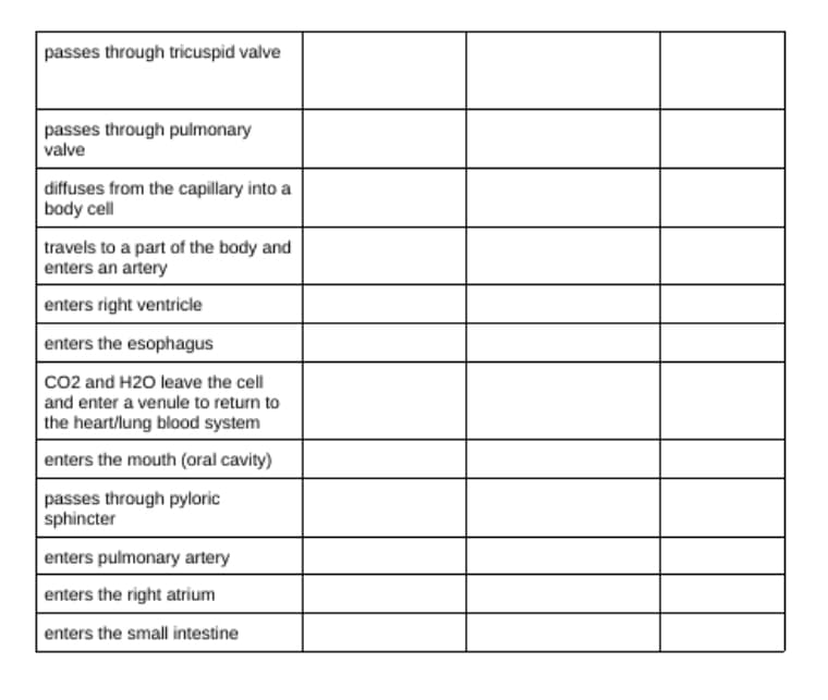 passes through tricuspid valve
passes through pulmonary
valve
diffuses from the capillary into a
body cell
travels to a part of the body and
enters an artery
enters right ventricle
enters the esophagus
CO2 and H2O leave the cell
and enter a venule to return to
the heart/lung blood system
enters the mouth (oral cavity)
passes through pyloric
sphincter
enters pulmonary artery
enters the right atrium
enters the small intestine