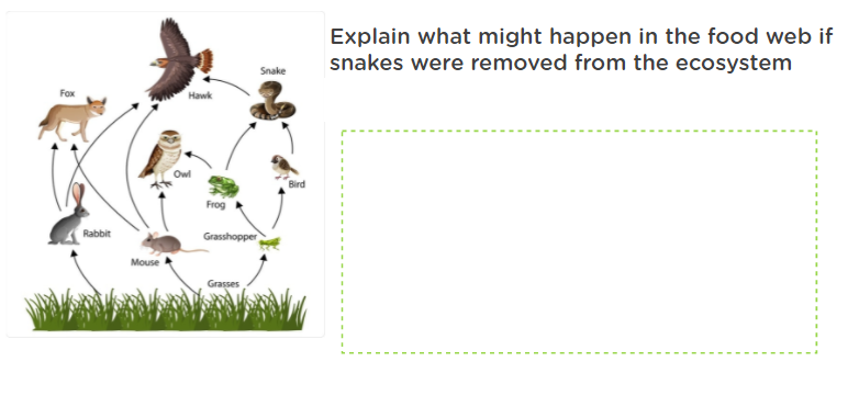 Explain what might happen in the food web if
snakes were removed from the ecosystem
Snake
Fox
Hawk
Owl
Bird
Frog
Rabbit
Grasshopper
Mouse
Grasses
