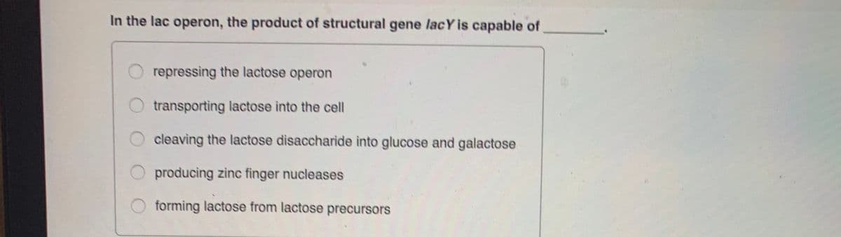 In the lac operon, the product of structural gene lacY is capable of
repressing the lactose operon
transporting lactose into the cell
cleaving the lactose disaccharide into glucose and galactose
producing zinc finger nucleases
forming lactose from lactose precursors
