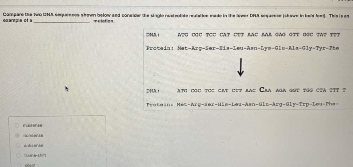 Compare the two DNA sequences shown below and consider the single nucleotide mutation made In the lower DNA sequence (shown in bold font). This is an
example of a
mutation.
DNA:
АTG CGC TСС САТ СТТ ААС AAА GAG GTT GGC ТАТ ТТТ
Protein: Met-Arg-Ser-His-Leu-Asn-Lys-Glu-Ala-Gly-Tyr-Phe
DNA:
ATG CGC TCC CAT CTT AAC CAA AGA GGT TGG CTA TTT T
Protein: Met-Arg-Ser-His-Leu-Asn-Gln-Arg-Gly-Trp-Leu-Phe-
missense
nonsense
antisense
O frame-shift
silent
