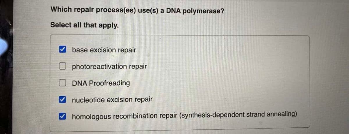 Which repair process(es) use(s) a DNA polymerase?
Select all that apply.
V base excision repair
O photoreactivation repair
O DNA Proofreading
nucleotide excision repair
homologous recombination repair (synthesis-dependent strand annealing)
