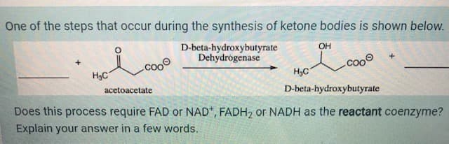 One of the steps that occur during the synthesis of ketone bodies is shown below.
OH
D-beta-hydroxybutyrate
Dehydrógenase
.coo
coo0
H3C
cooo
Нас
acetoacetate
D-beta-hydroxybutyrate
Does this process require FAD or NAD*, FADH2 or NADH as the reactant coenzyme?
Explain your answer in a few words.

