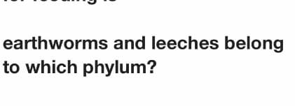 earthworms and leeches belong
to which phylum?
