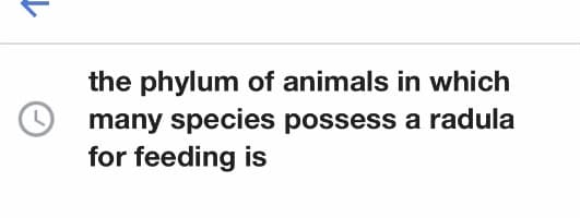 the phylum of animals in which
many species possess a radula
for feeding is
