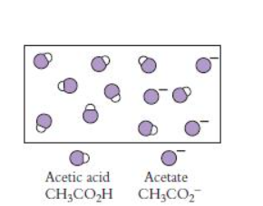 Acetic acid
Acetate
CHCO,HCH CO,