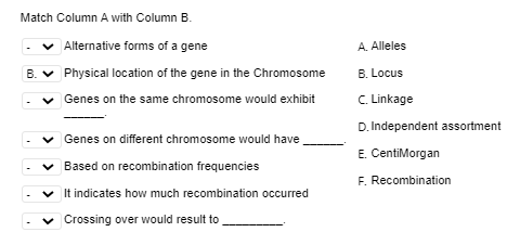Match Column A with Column B.
v Alternative forms of a gene
A. Alleles
B. v Physical location of the gene in the Chromosome
B. Locus
v Genes on the same chromosome would exhibit
C. Linkage
D. Independent assortment
v Genes on different chromosome would have
E. CentiMorgan
v Based on recombination frequencies
F. Recombination
v It indicates how much recombination occurred
Crossing over would result to
