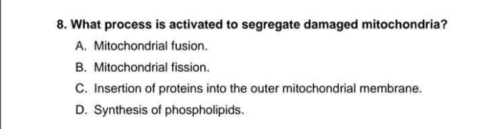 8. What process is activated to segregate damaged mitochondria?
A. Mitochondrial fusion.
B. Mitochondrial fission.
C. Insertion of proteins into the outer mitochondrial membrane.
D. Synthesis of phospholipids.
