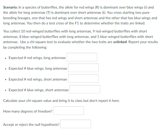 Scenario: In a species of butterflies, the allele for red wings (R) is dominant over blue wings (r) and
the allele for long antennae (T) is dominant over short antennae (t). You cross starting two pure-
breeding lineages, one that has red wings and short antennae and the other that has blue wings and
long antennae. You then do a test cross of the F1 to determine whether the traits are linked.
You collect 10 red-winged butterflies with long antennae, 9 red-winged butterflies with short
antennae, 8 blue-winged butterflies with long antennae, and 5 blue-winged butterflies with short
antennae. Use a chi-square test to evaluate whether the two traits are unlinked. Report your results
by completing the following:
• Expected # red wings, long antennae
• Expected # blue wings, long antennae
· Expected # red wings, short antennae
• Expected # blue wings, short antennae
Calculate your chi-square value and bring it to class but don't report it here.
How many degrees of freedom?
Accept or reject the null hypothesis?
