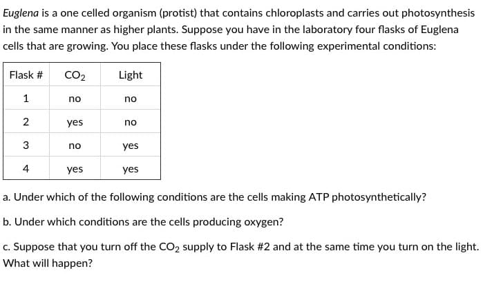 Euglena is a one celled organism (protist) that contains chloroplasts and carries out photosynthesis
in the same manner as higher plants. Suppose you have in the laboratory four flasks of Euglena
cells that are growing. You place these flasks under the following experimental conditions:
Flask #
1
2
3
4
CO₂
no
yes
no
yes
Light
no
no
yes
yes
a. Under which of the following conditions are the cells making ATP photosynthetically?
b. Under which conditions are the cells producing oxygen?
c. Suppose that you turn off the CO₂ supply to Flask #2 and at the same time you turn on the light.
What will happen?