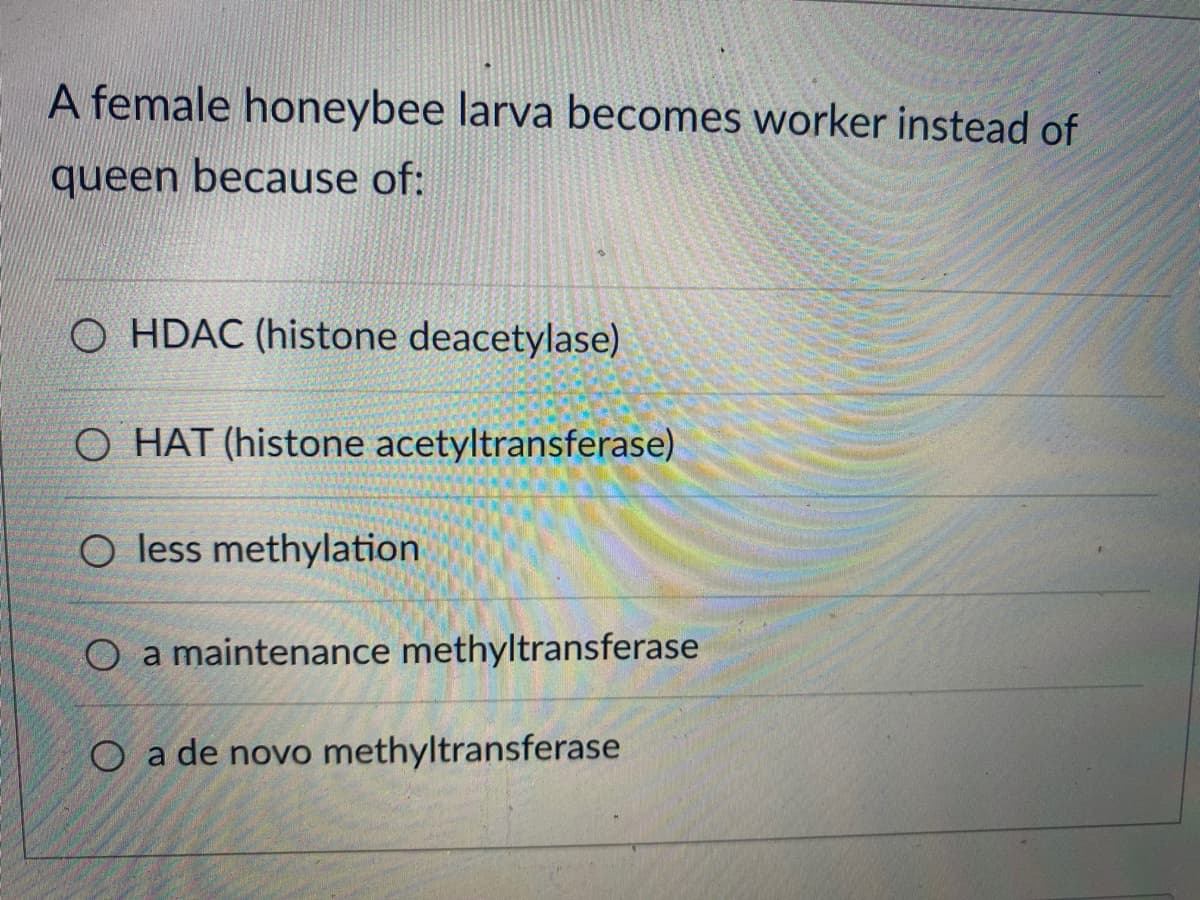 A female honeybee larva becomes worker instead of
queen because of:
O HDAC (histone deacetylase)
O HAT (histone acetyltransferase)
O less methylation
O a maintenance methyltransferase
O a de novo methyltransferase
