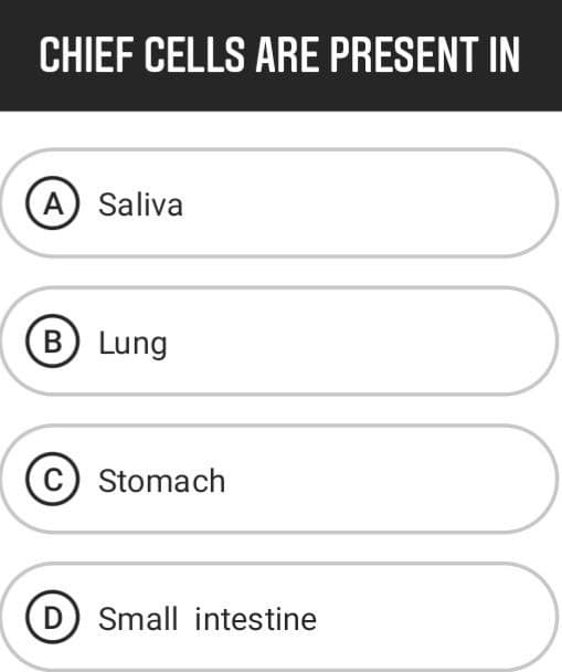 CHIEF CELLS ARE PRESENT IN
A Saliva
B Lung
C Stomach
D Small intestine
